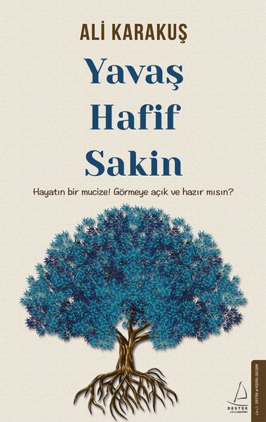 Yavaş,%20Hafif,%20Sakin