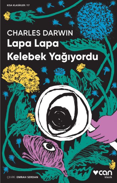 Lapa%20Lapa%20Kelebek%20Yağıyordu